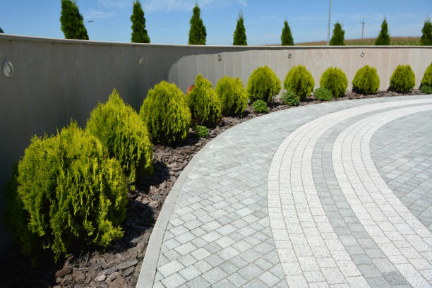 Best Residential Driveway Paver Services  in Olivehurst, CA